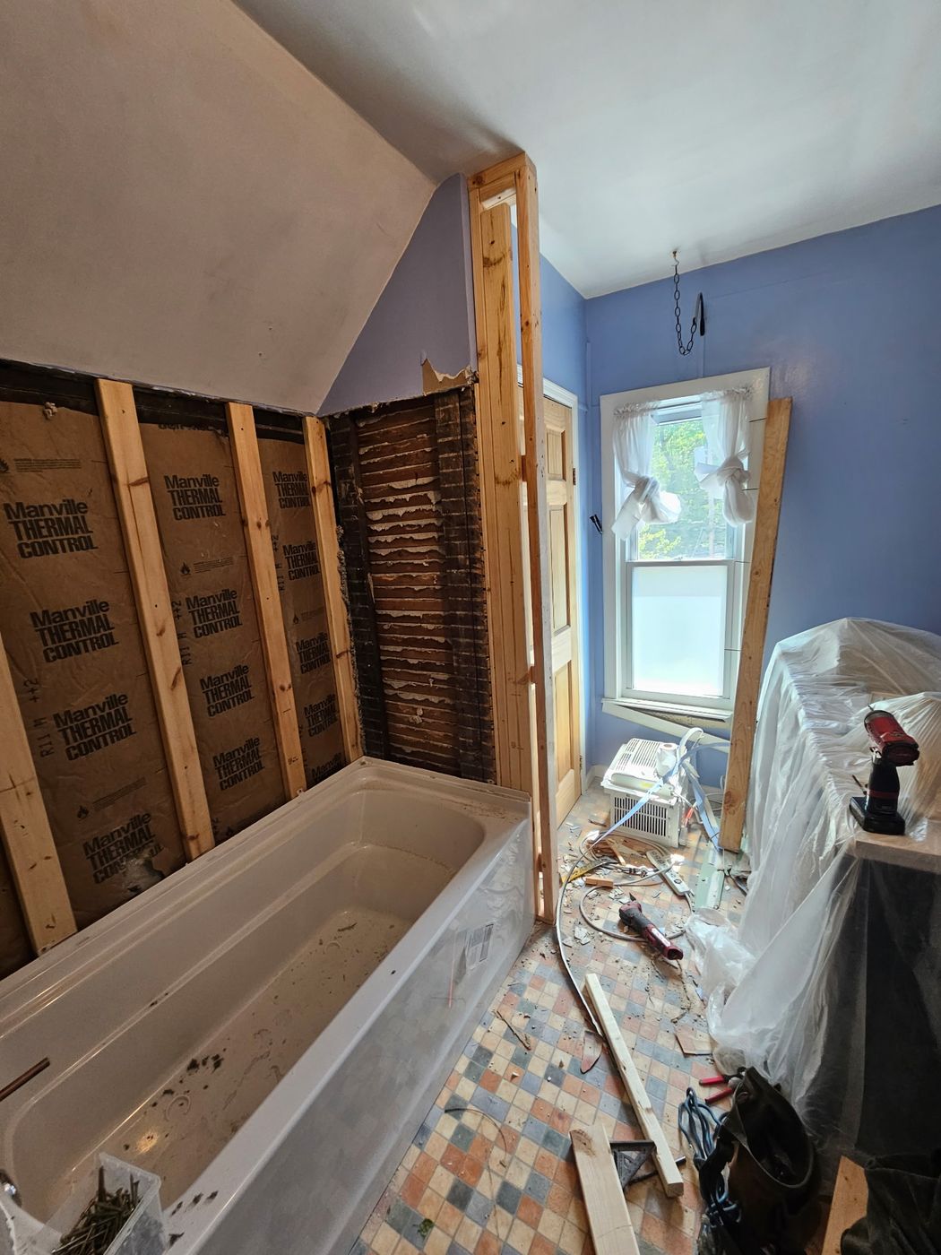 Bathroom gut and re-frame, in progress